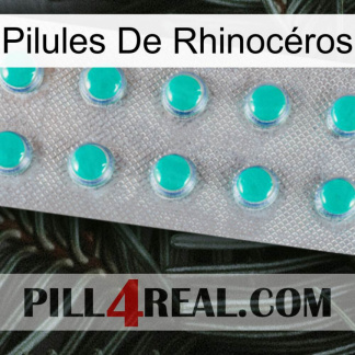 Pilules De Rhinocéros 28